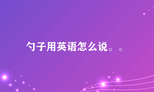 勺子用英语怎么说。。