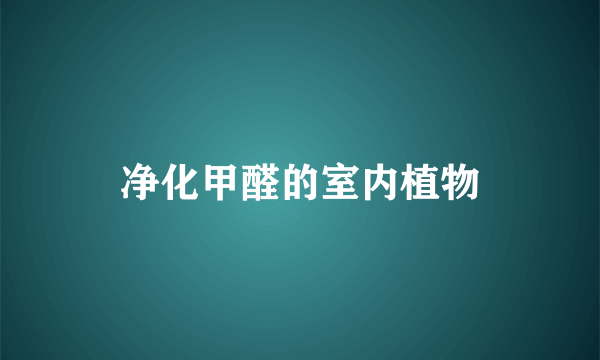净化甲醛的室内植物