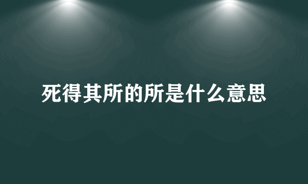 死得其所的所是什么意思