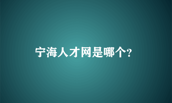 宁海人才网是哪个？