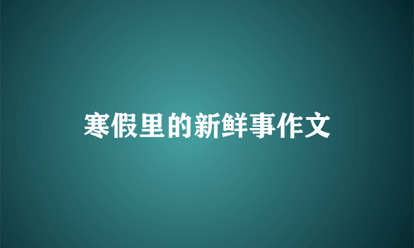 寒假里的新鲜事作文