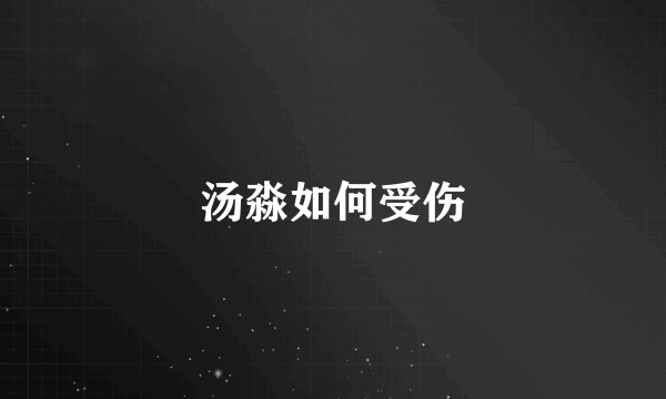 汤淼如何受伤