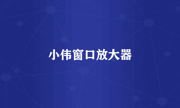 小伟窗口放大器