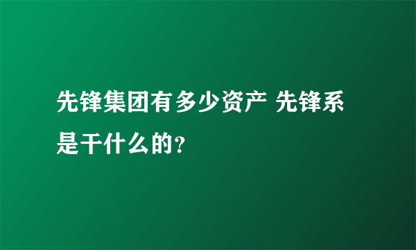 先锋集团有多少资产 先锋系是干什么的？