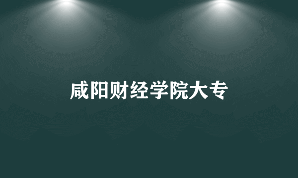 咸阳财经学院大专