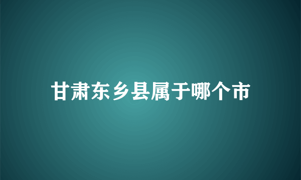 甘肃东乡县属于哪个市