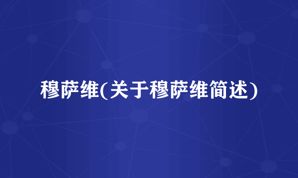 穆萨维(关于穆萨维简述)