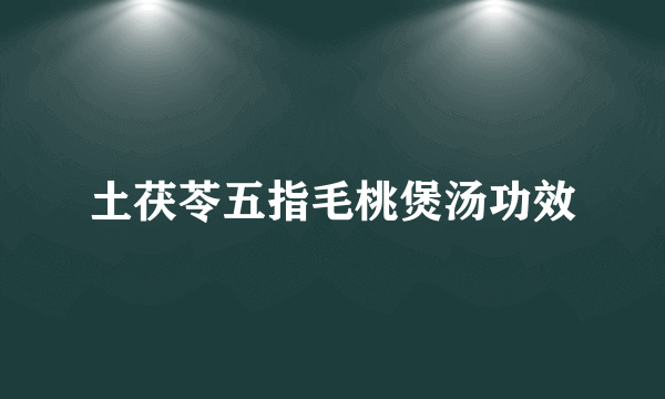 土茯苓五指毛桃煲汤功效
