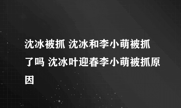 沈冰被抓 沈冰和李小萌被抓了吗 沈冰叶迎春李小萌被抓原因