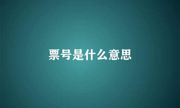 票号是什么意思