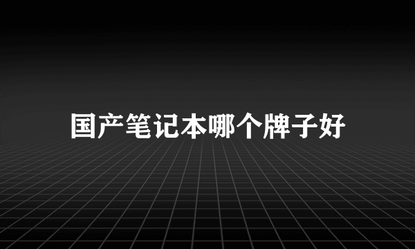 国产笔记本哪个牌子好