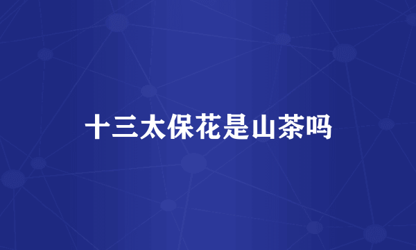 十三太保花是山茶吗