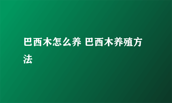 巴西木怎么养 巴西木养殖方法
