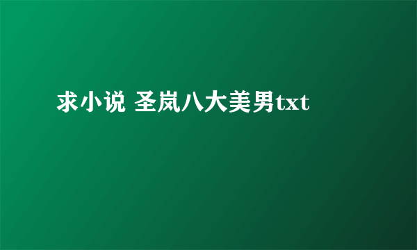 求小说 圣岚八大美男txt