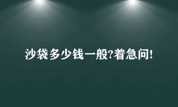 沙袋多少钱一般?着急问!