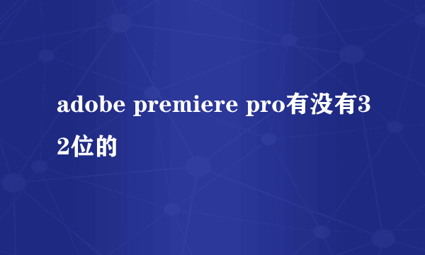adobe premiere pro有没有32位的