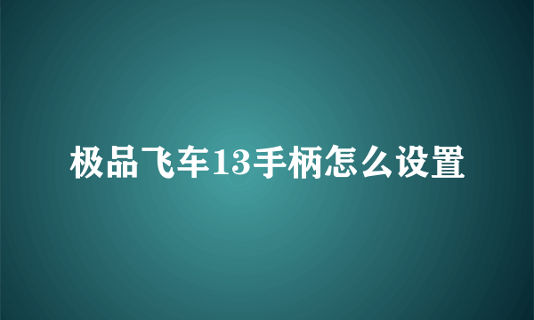 极品飞车13手柄怎么设置