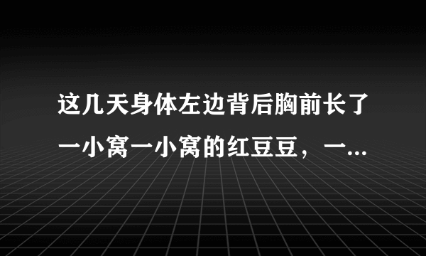 这几天身体左边背后胸前长了一小窝一小窝的红豆豆，一...