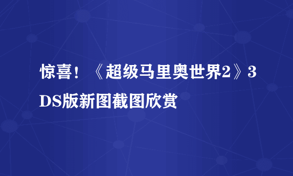 惊喜！《超级马里奥世界2》3DS版新图截图欣赏
