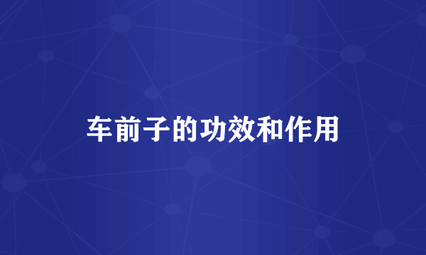 车前子的功效和作用