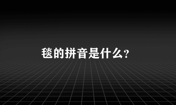 毯的拼音是什么？