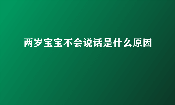 两岁宝宝不会说话是什么原因