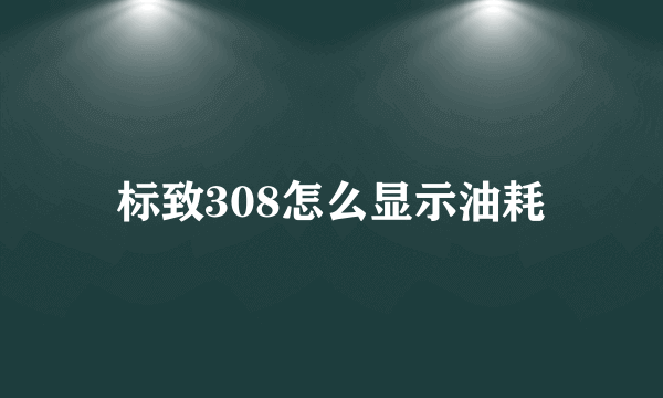标致308怎么显示油耗