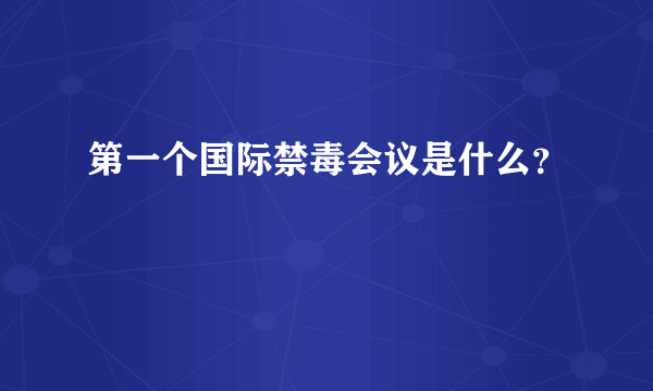 第一个国际禁毒会议是什么？