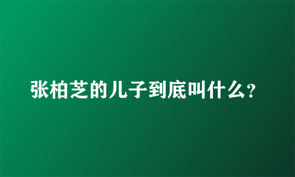 张柏芝的儿子到底叫什么？