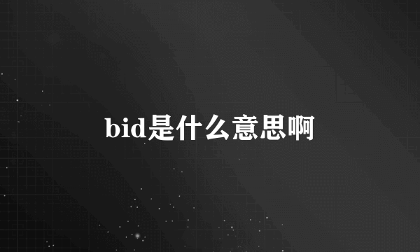 bid是什么意思啊
