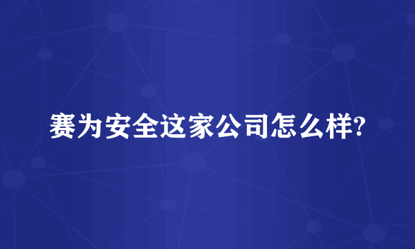 赛为安全这家公司怎么样?