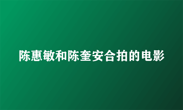 陈惠敏和陈奎安合拍的电影