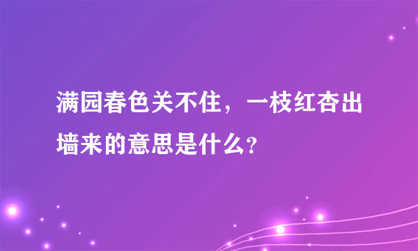 满园春色关不住，一枝红杏出墙来的意思是什么？