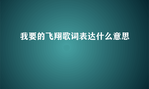 我要的飞翔歌词表达什么意思