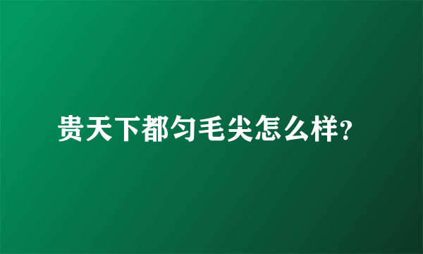 贵天下都匀毛尖怎么样？