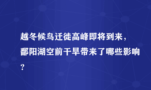 越冬候鸟迁徙高峰即将到来，鄱阳湖空前干旱带来了哪些影响？