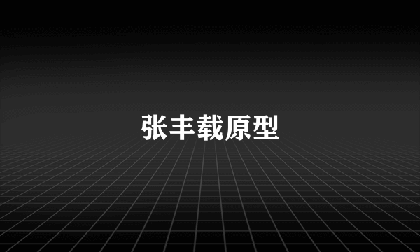 张丰载原型