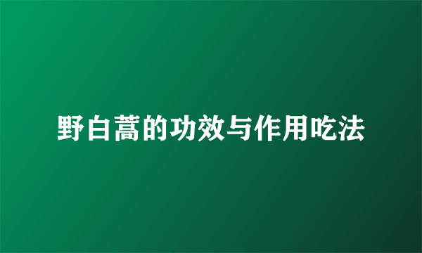 野白蒿的功效与作用吃法