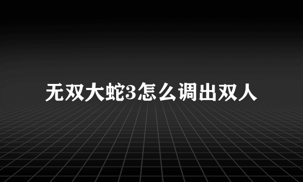 无双大蛇3怎么调出双人