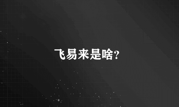 飞易来是啥？