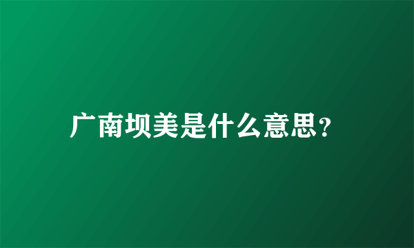广南坝美是什么意思？