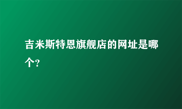 吉米斯特恩旗舰店的网址是哪个？