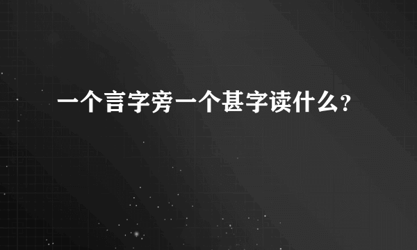 一个言字旁一个甚字读什么？