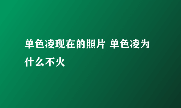 单色凌现在的照片 单色凌为什么不火