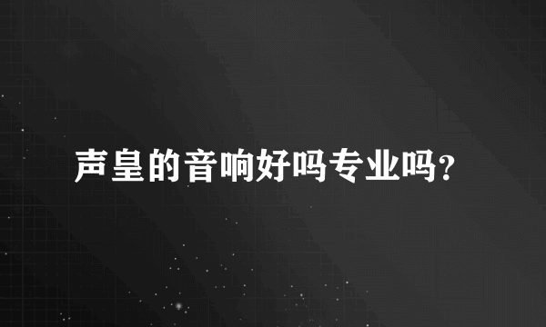 声皇的音响好吗专业吗？