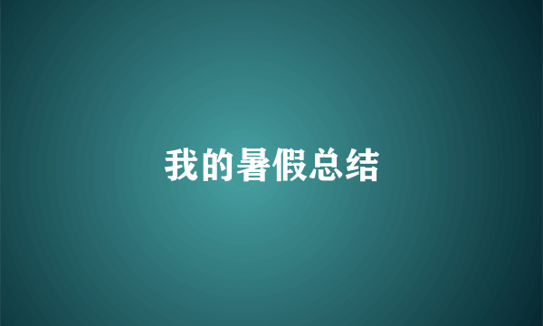 我的暑假总结