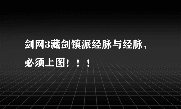 剑网3藏剑镇派经脉与经脉，必须上图！！！