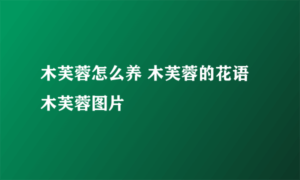木芙蓉怎么养 木芙蓉的花语 木芙蓉图片