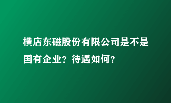 横店东磁股份有限公司是不是国有企业？待遇如何？