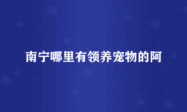 南宁哪里有领养宠物的阿
